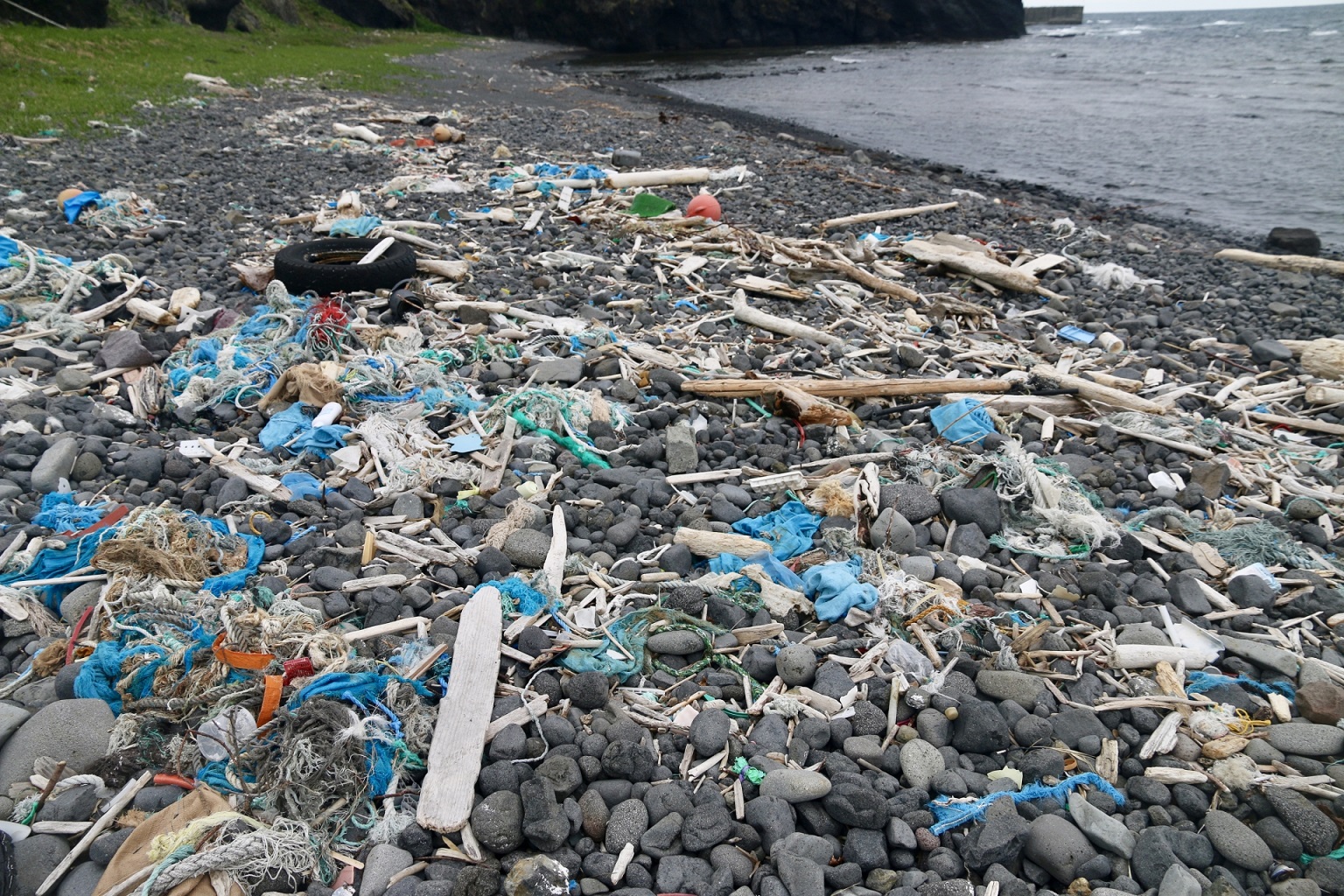 プラスチックごみと富山湾 マイクロプラスチック問題 荒木商会